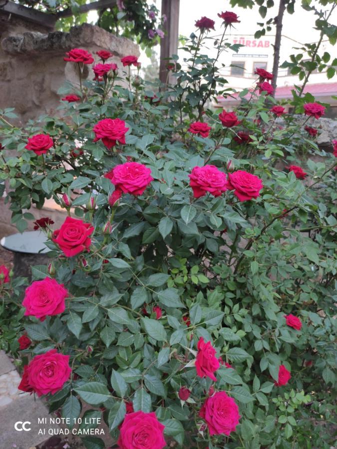 Kayhan Cave Villa Ürgüp Buitenkant foto